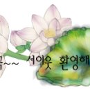 블루칩컴퓨터 이미지