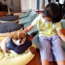 멍이와쿤이 이미지