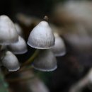 씨제이헬스케어(주) 이미지