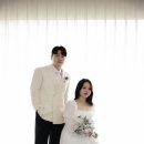 일일시호 이미지