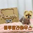 미소가하우스 | [룰루랄라하우스] 집 들어올 때마다 미소가 지어지는 이유 룰루랄라하우스 니트레터링 도어사인 후기