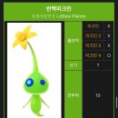 춘천퇴계유통 | 오늘 밤티할사람?? (Night tea)