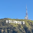 MPC | [신혼여행 LA-칸쿤] LA 공항 입국 후기 (MPC , 실제 질문, 한인택시)