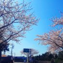 덕천리삼거리민박