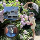 장사도해상공원 | 통영유람선 7월 장사도 해상공원, 경남 수국명소 여행지 추천