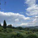 보훈목장 이미지