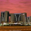 쌍용가축인공수정소 | 세계도시 두바이 Dubai