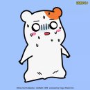 44fit 이미지