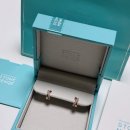 31-C | 스톤헨지 귀걸이 판교 현대백화점 생일 선물 구매 후기 SA24C31F N