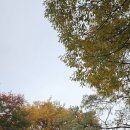 178 | 미사경정공원 가을 산책후 커피178 방문 후기