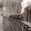 통리5일장 이미지