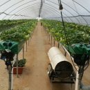 정수농장 이미지