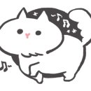 두리그루밍 이미지