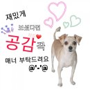 개봉숯불갈비 이미지