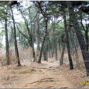 개화산공원 Daum카페