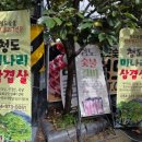 고수동 마을앞 이미지