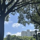 지내테니스장