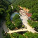 금산산림문화타운캠핑장 이미지