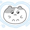 브라운도트 양정점 이미지