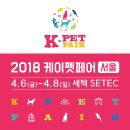 케이네트웍스 이미지