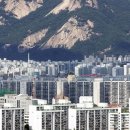 파트너2213