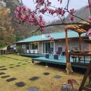 스테이 꿈의대화 이미지