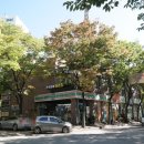 주식회사더부동산중개법인 이미지