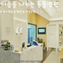 남서울동물병원