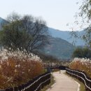 화포천생태습지공원 이미지