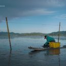 달의바다 이미지