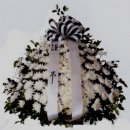 (주)세일사 이미지