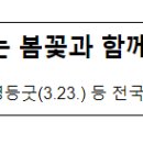 벌말 도당굿 및 도당 | 3월, 싱그럽게 피어나는 봄꽃과 함께 즐기는 국가무형유산