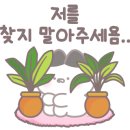 잼트래블