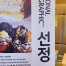 강릉오빠
