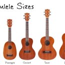 우쿠렐레 이미지