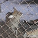 미리내캠프 이미지