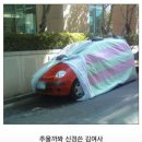 金女史 이미지