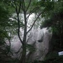 (주)양지약품 이미지