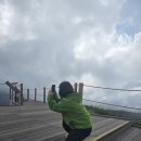 1169 | 제주 어승생악 정상 해발 1169m 오른 후기 등린이 체력거지 난이도 날씨 바람막이 옷 신발 주차 등산...