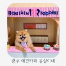 몽실언니카페(mongsil cafe) | 서울근교애견카페 추천 광주 몽실이네 애견운동장 후기