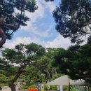 동산조경개발 이미지
