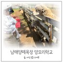 셀티스 | 남해양떼목장 양모리학교 남해 가볼만한 곳 추천 21개월아기 후기