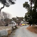 포시즌오토캠핑장 | 덕산 스플라스 리솜 근처 '포시즌 오토캠핑장' 셀프 바베큐 후기