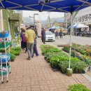 적성식물병원 이미지