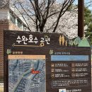 수완호수공원 | 광주 벚꽃 명소 수완호수공원 실시간 개화 현황ㅣ수완지구 산책 코스 추천