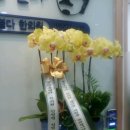 위풍당당한의원 이미지