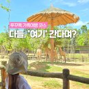 BEST카써비스 | 푸꾸옥 가족여행 코스 추천 렌트카 비용 피크타임 할인코드