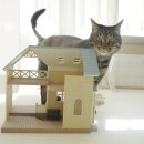 펜션 리버사이드 이미지