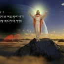 신이건설(주)