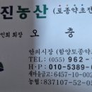 함양토종약초 네이버블로그